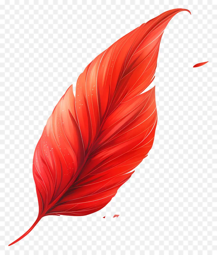 Hoja Roja，Pluma Roja PNG