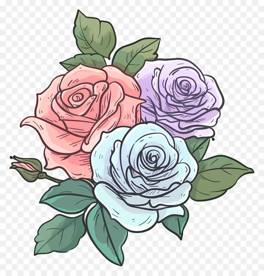 Rosas，Rosa PNG