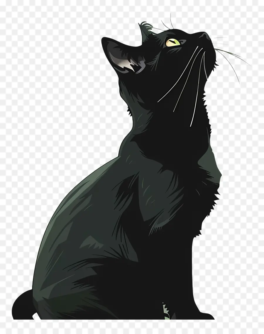 Gato Negro，Los Ojos Verdes PNG