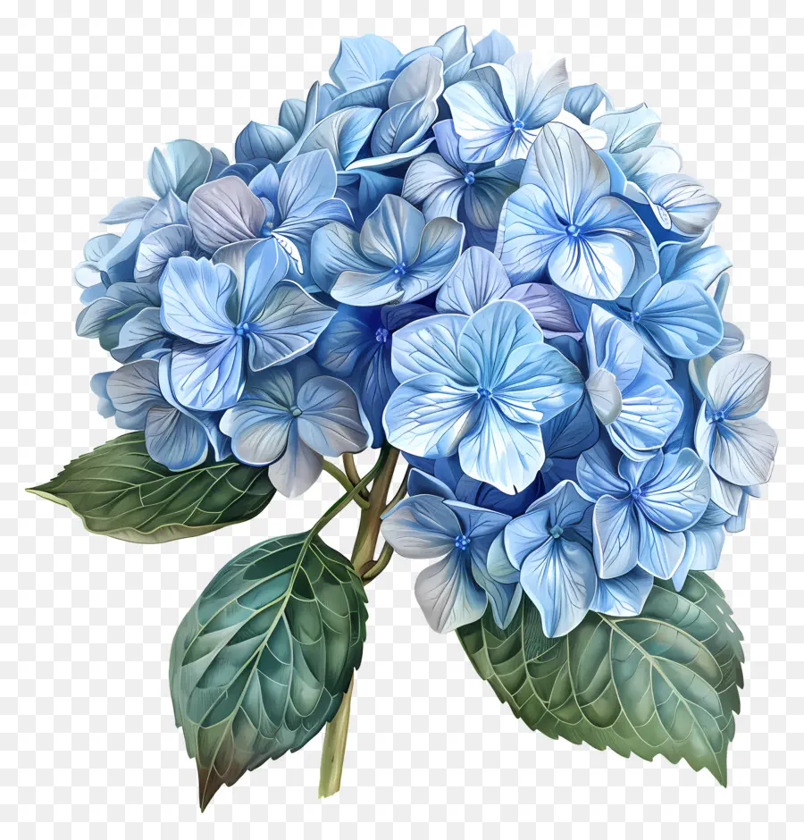 Azul Hortensia，Hidrante Azul PNG