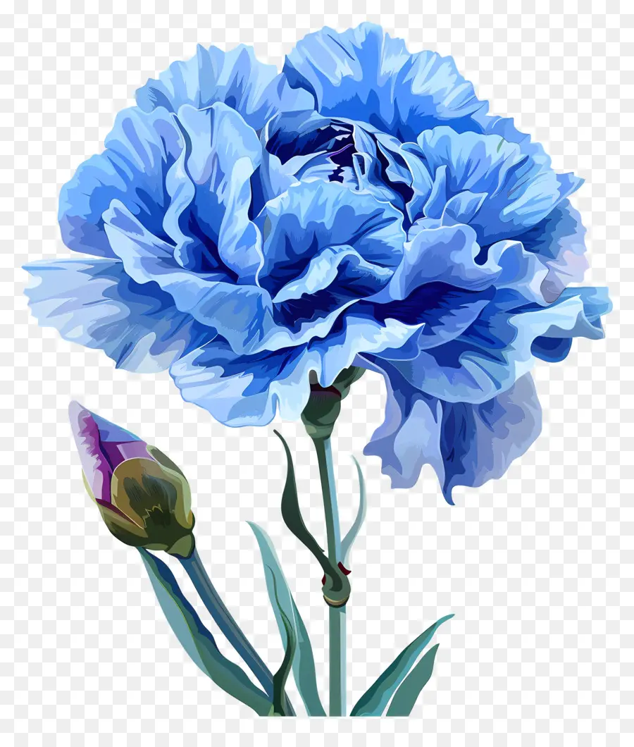 Clavel Azul，Flor Azul PNG