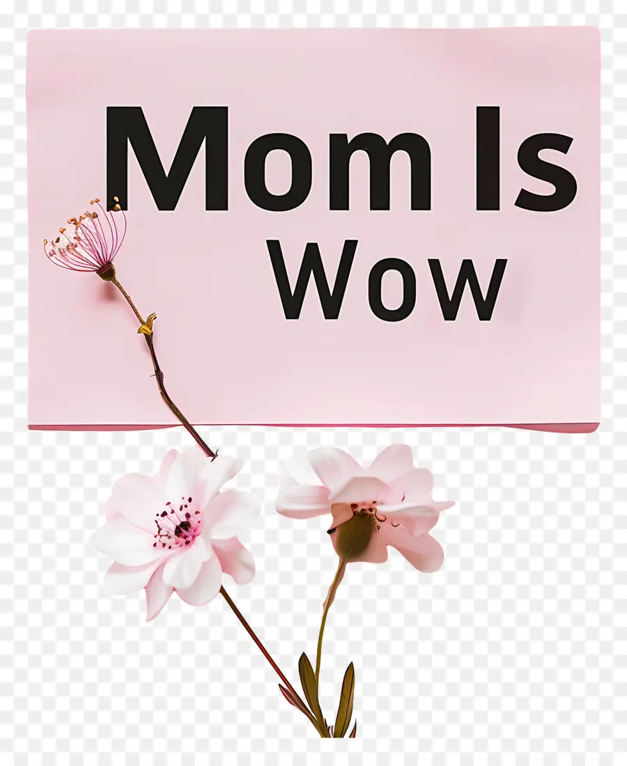 Mamá Es Wow，El Día De Las Madres PNG