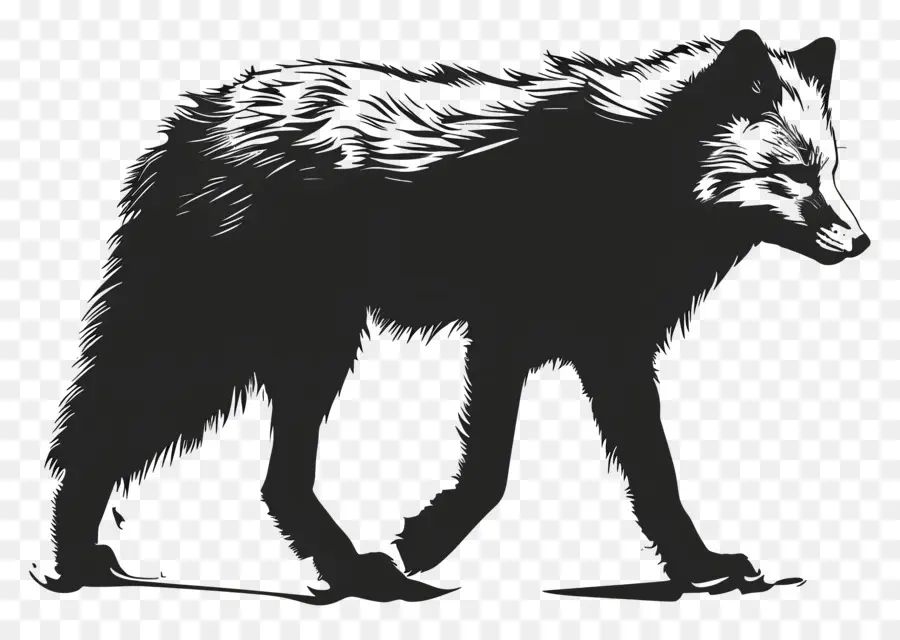 Silueta De Zorro ártico，Lobo PNG