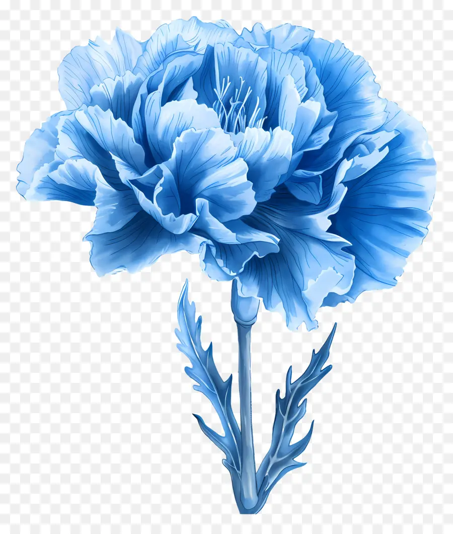 Azul De Clavícula，Flor Azul PNG