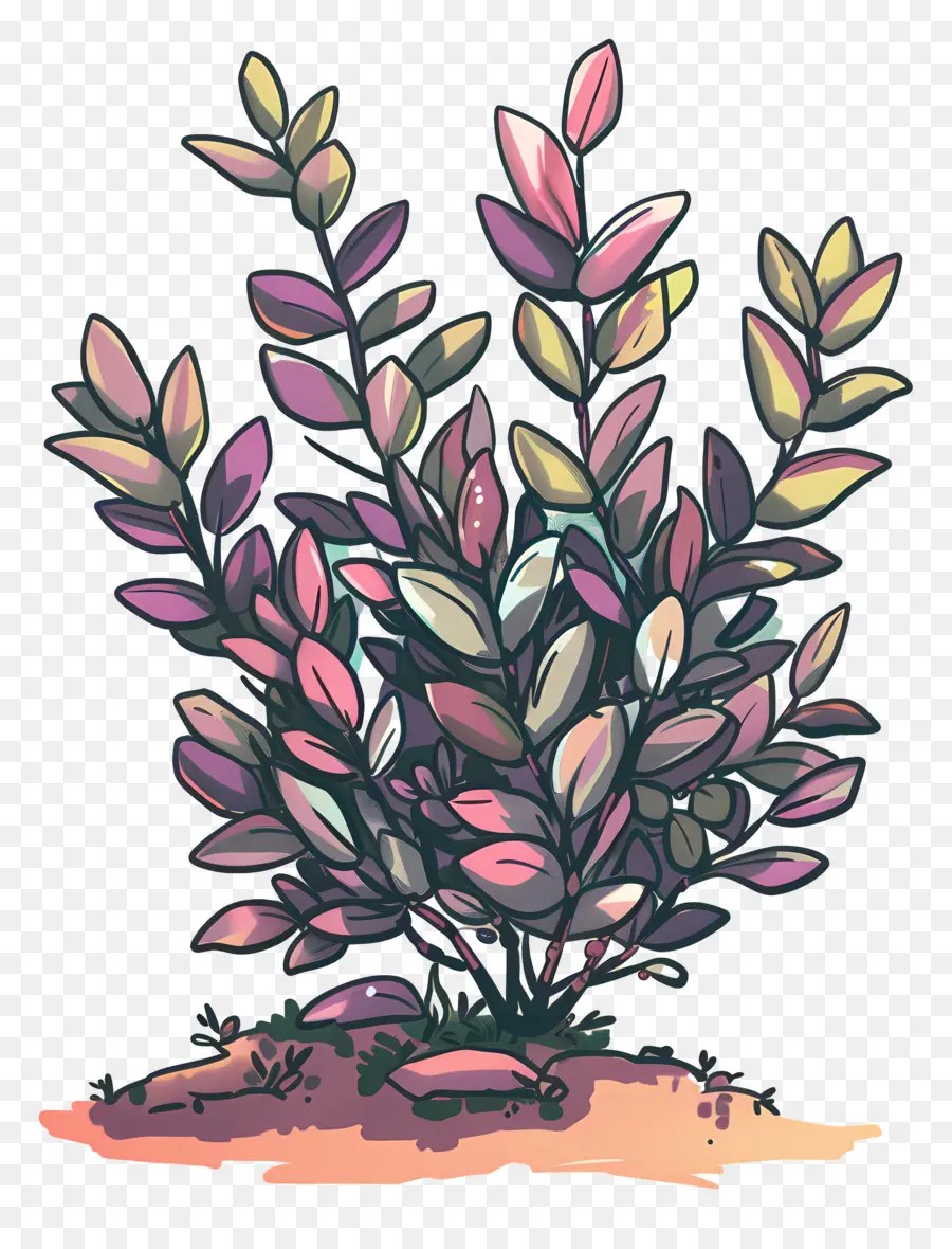 Arbusto，Rosa De La Planta PNG