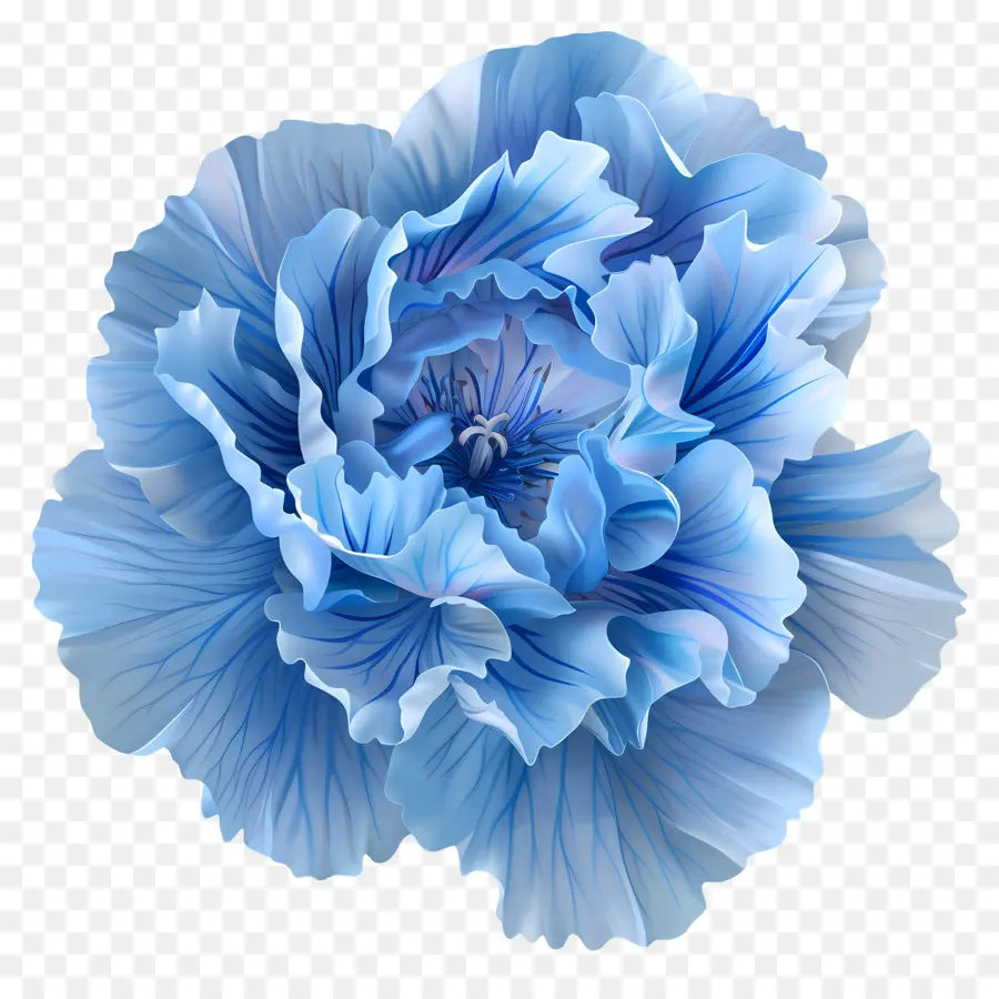 Clavel Azul，Flor Azul PNG