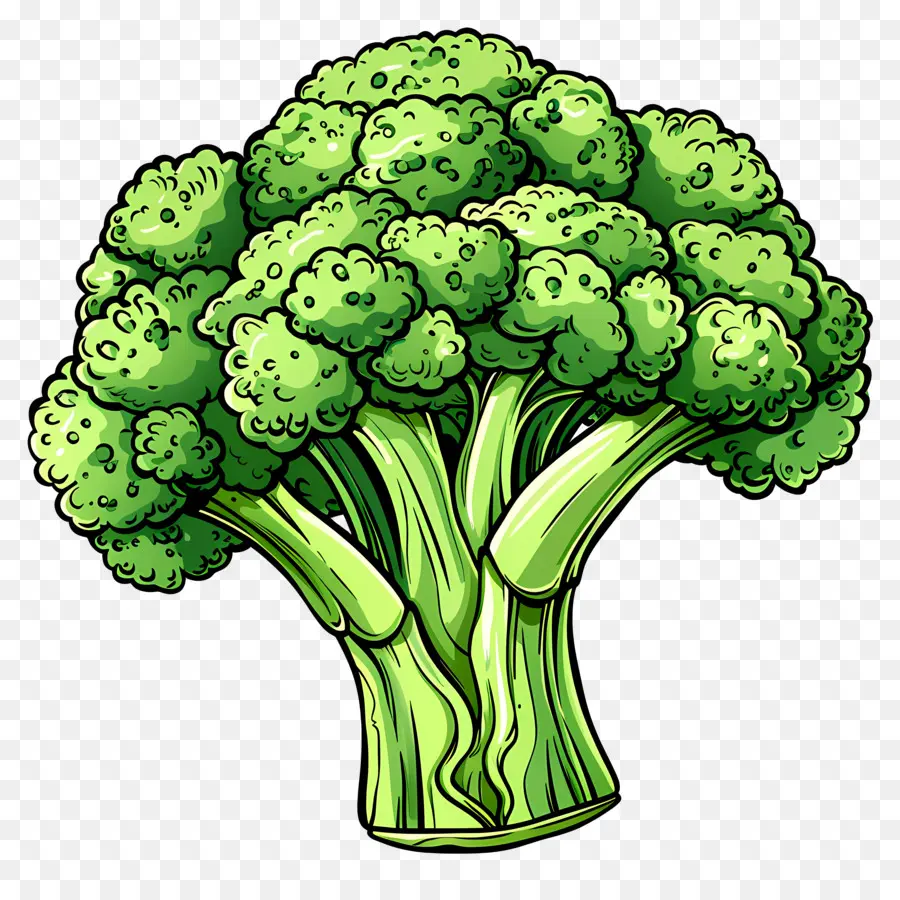 Brócoli，Verde PNG