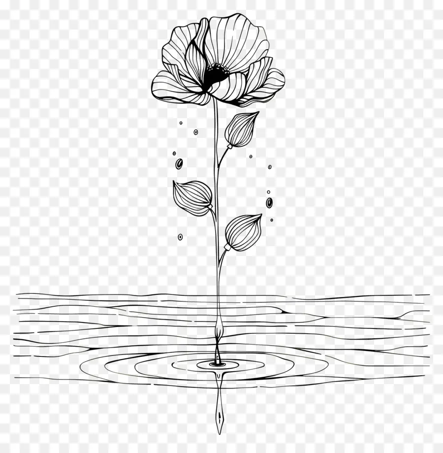 Agua，Flor PNG