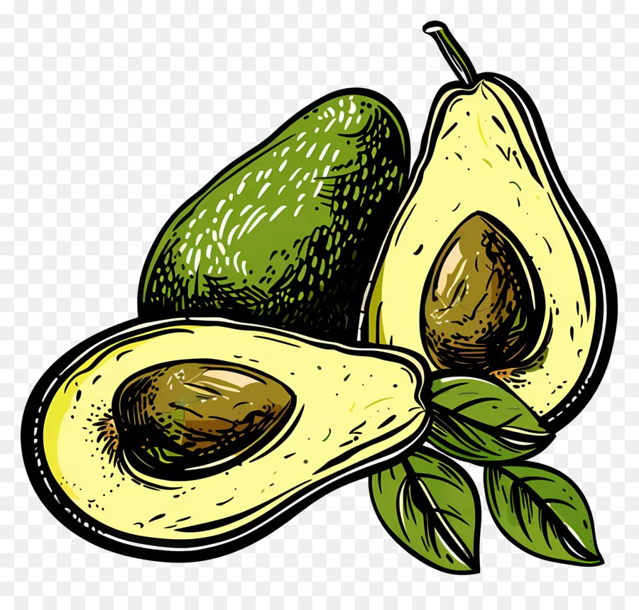 Aguacate，Saludable PNG