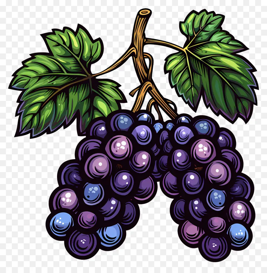 Uvas，Púrpura PNG