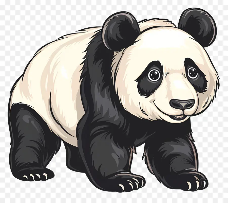 Panda，Oso Panda PNG