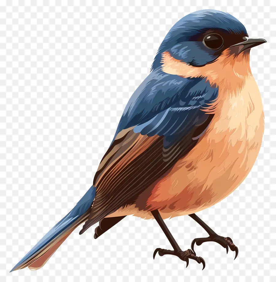 Aves，El Pájaro Azul PNG