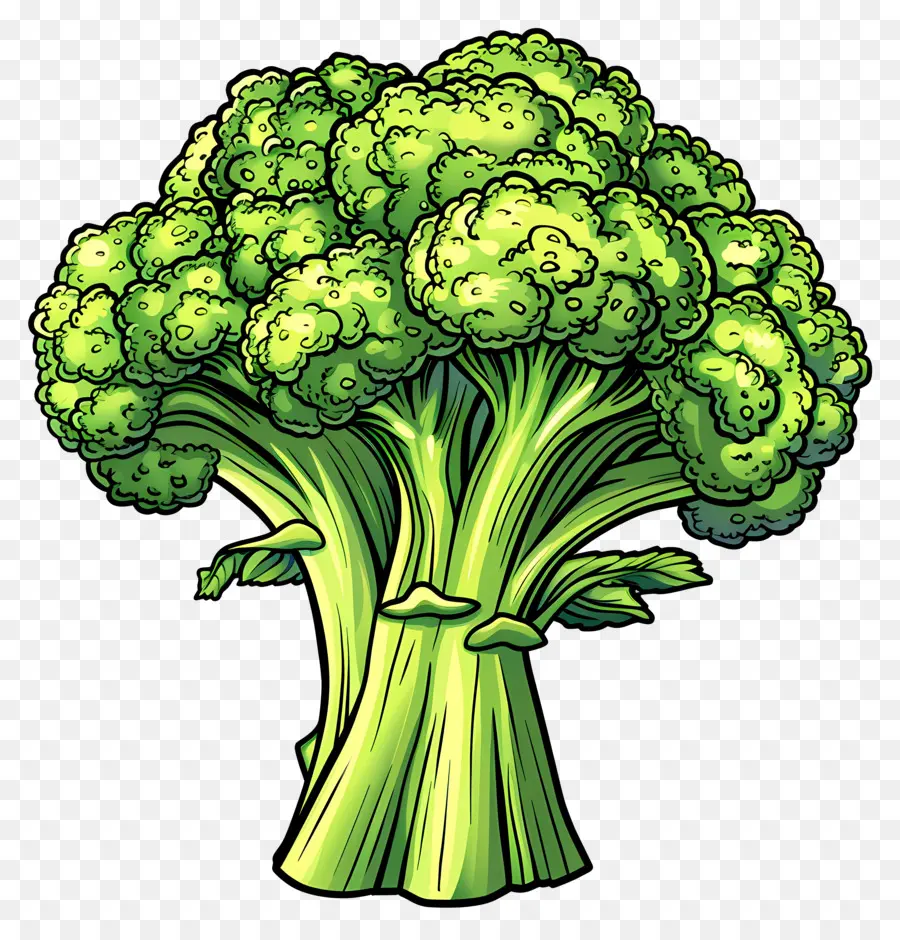 Brócoli，Vegetal PNG