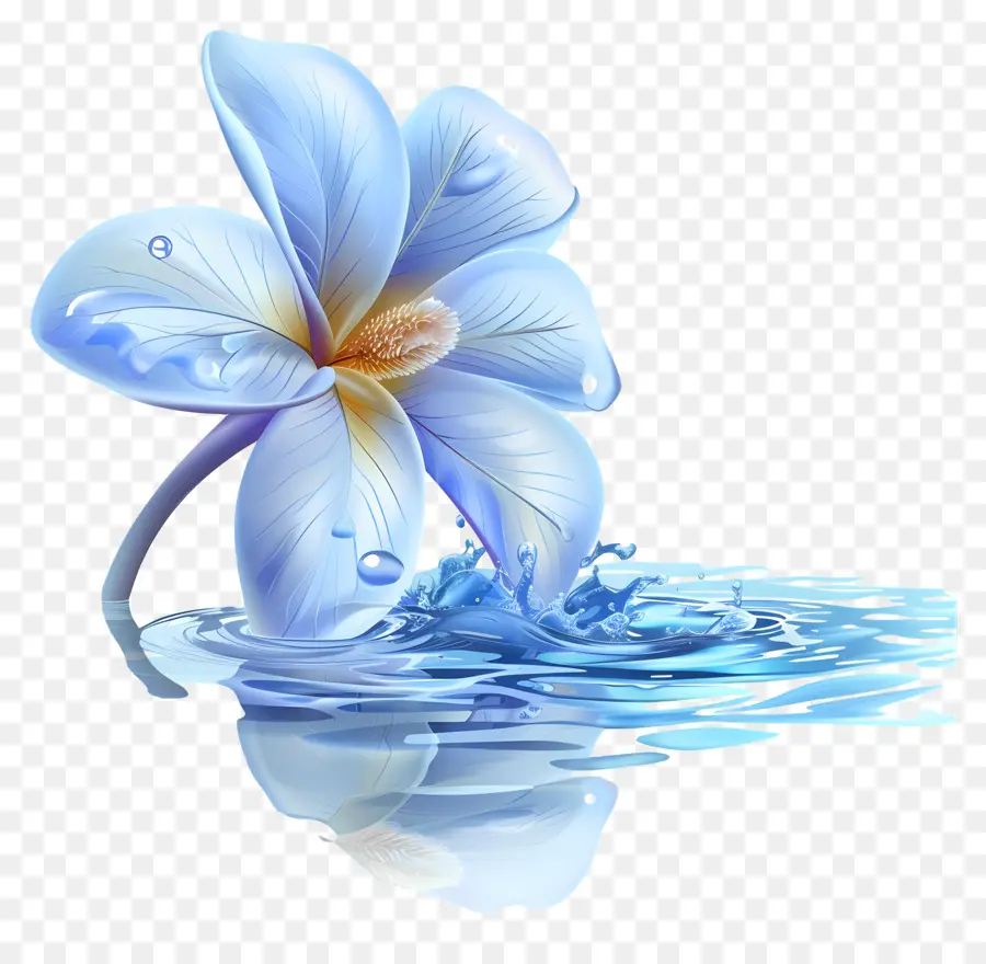 Agua，Flor PNG