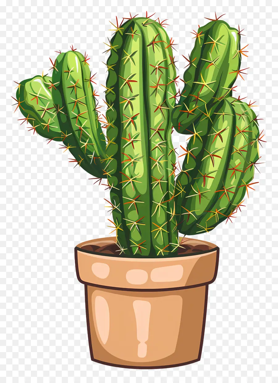 Cactus，Planta De Cactus PNG