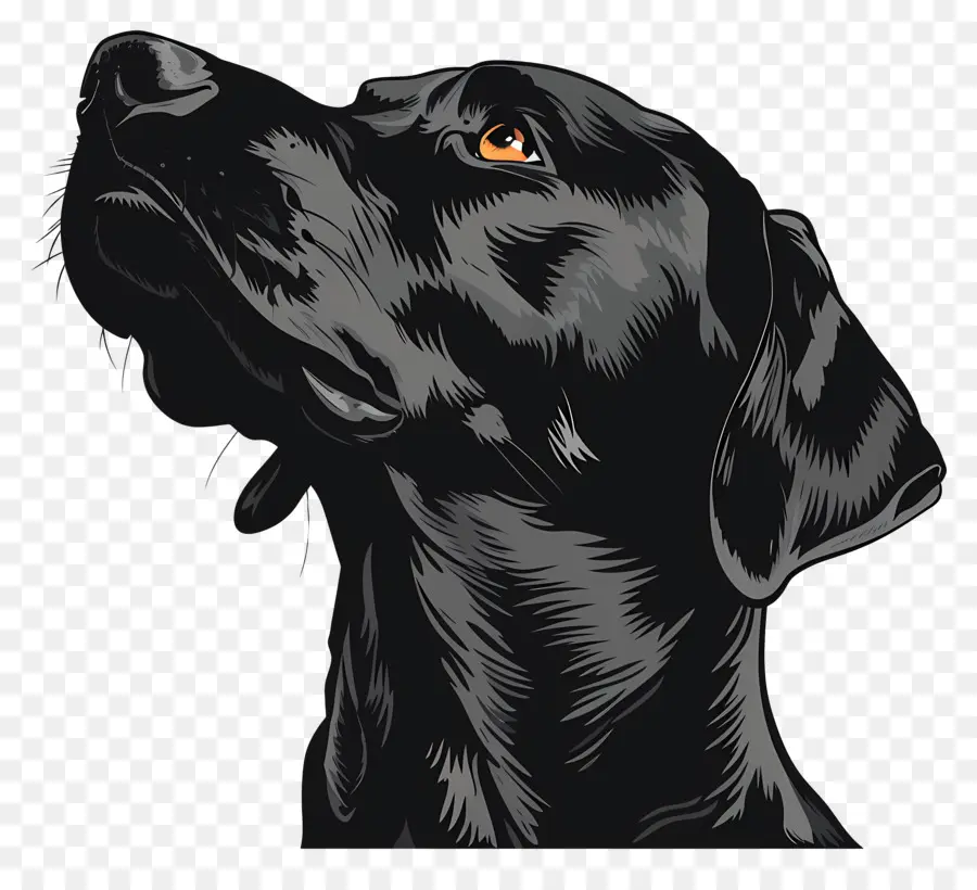 Perro，Labrador Retriever Negro PNG