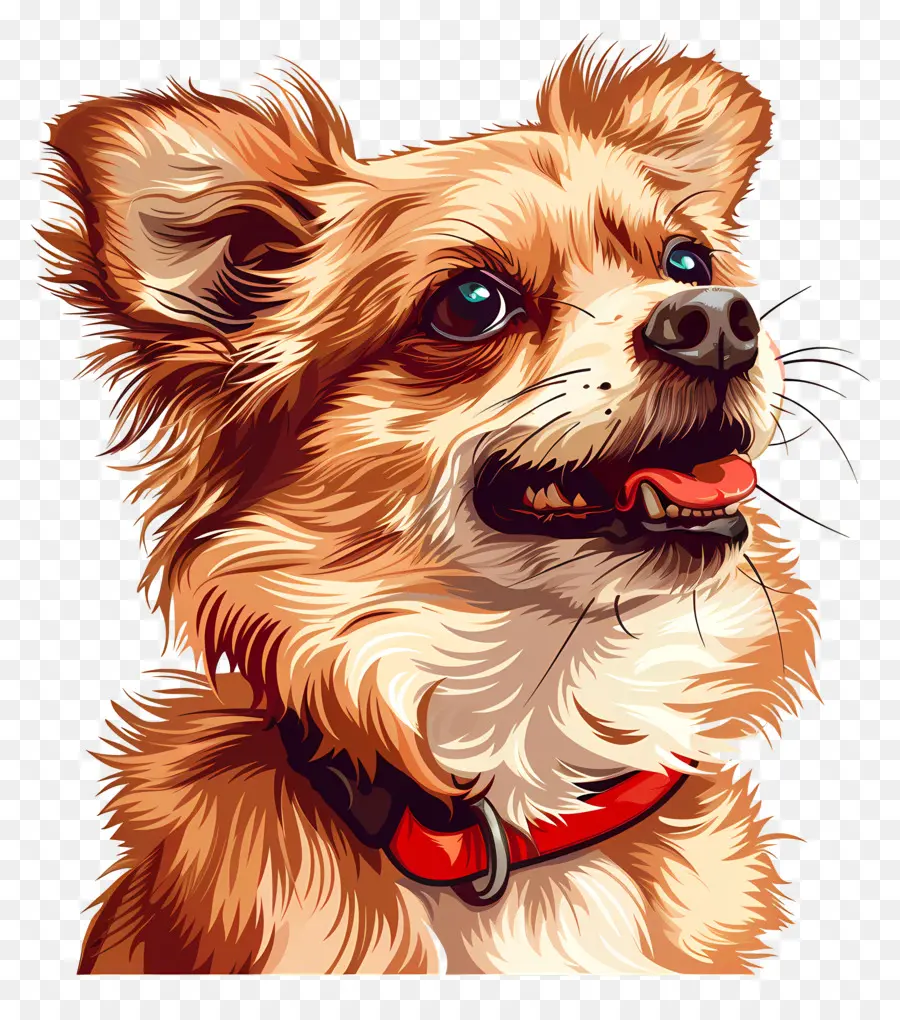 Perro，Chihuahua PNG