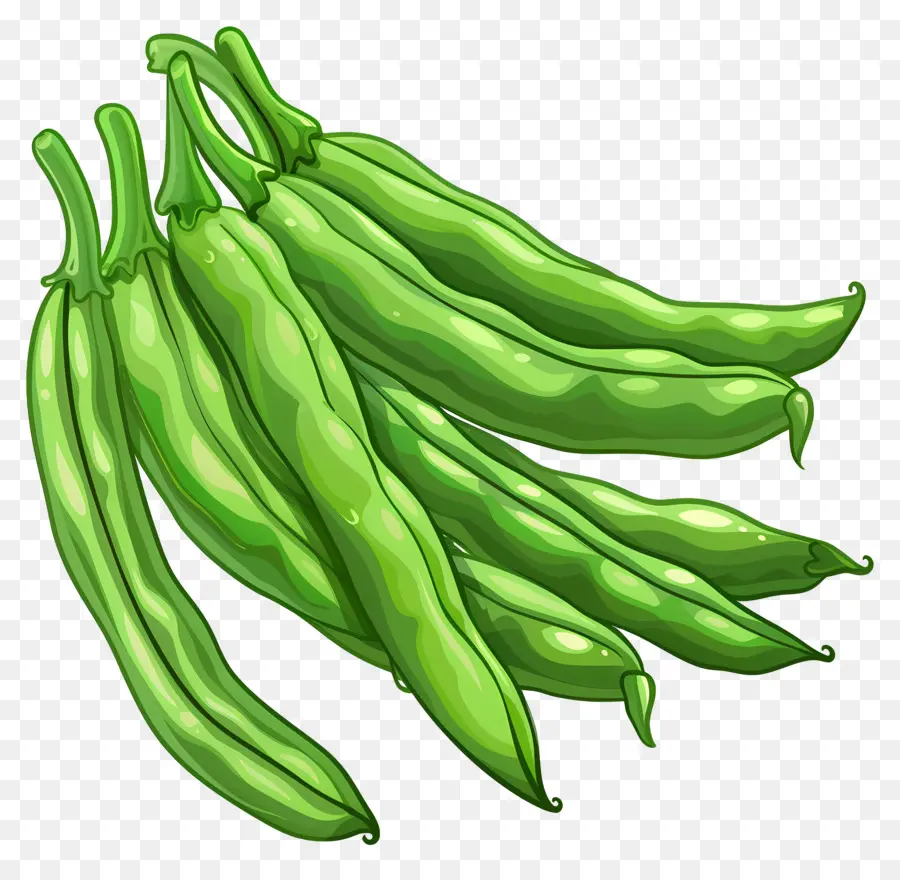 Judías Verdes，Guisantes Verdes PNG