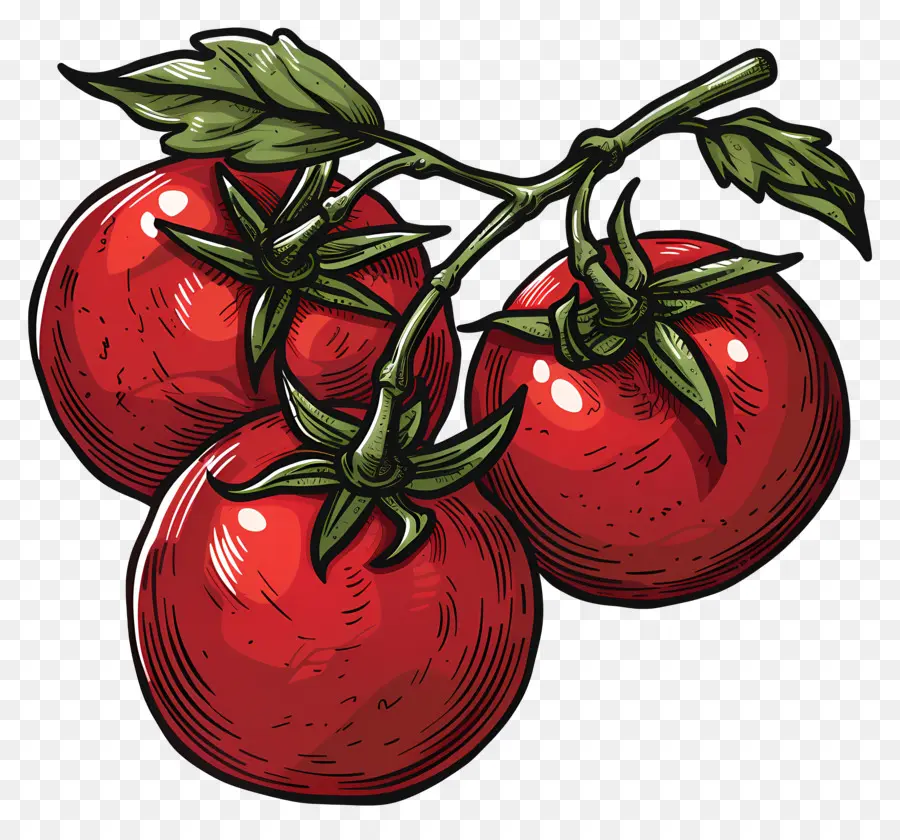 Tomates En Rama，Tomate En Vid PNG