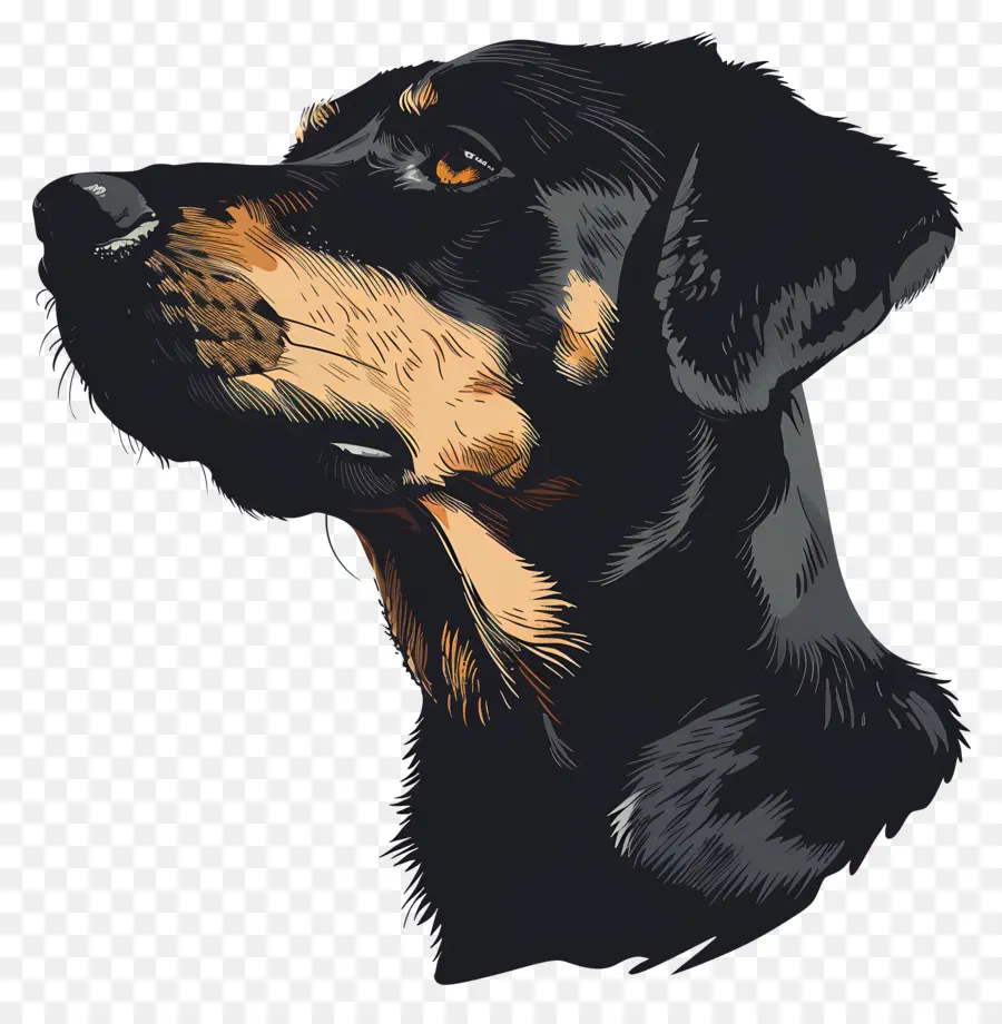 Perro，Perfil Del Perro PNG