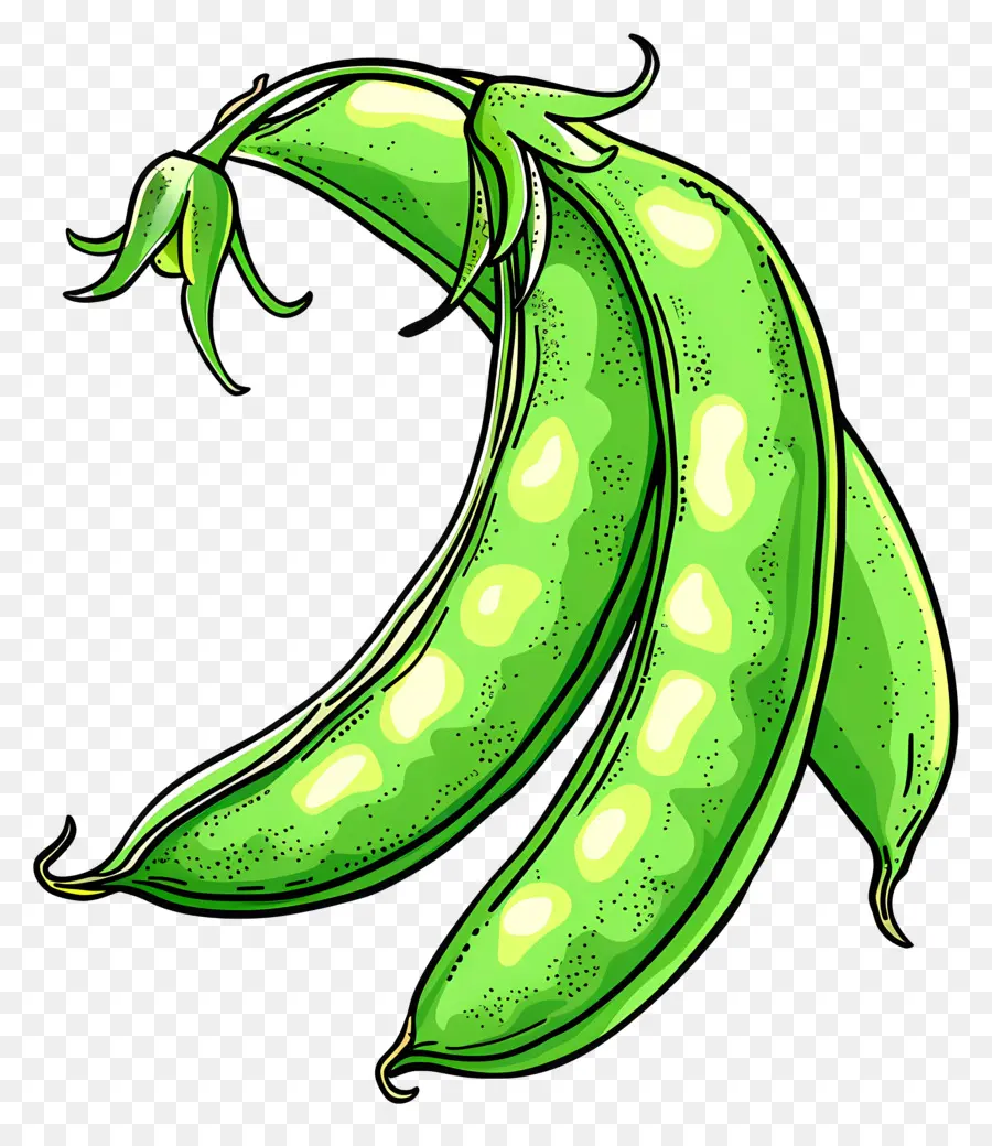 Guisantes Dulces，Guisantes PNG