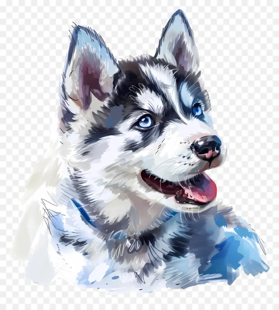 Husky Cachorro，Husky Siberiano PNG