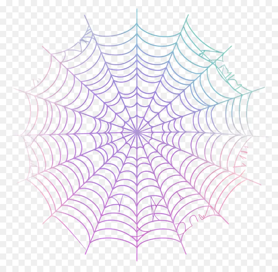 Tela De Araña，Rainbow Spider Web PNG