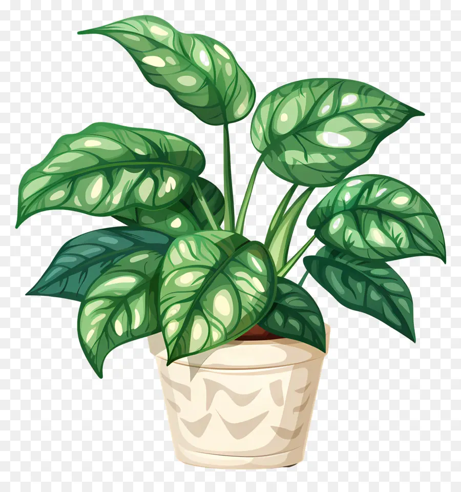 Planta，Planta En Maceta PNG