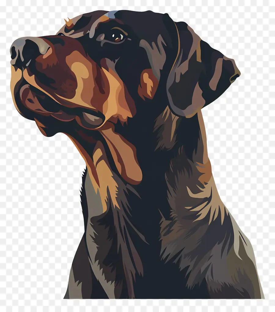 Perro，Rottweiler PNG