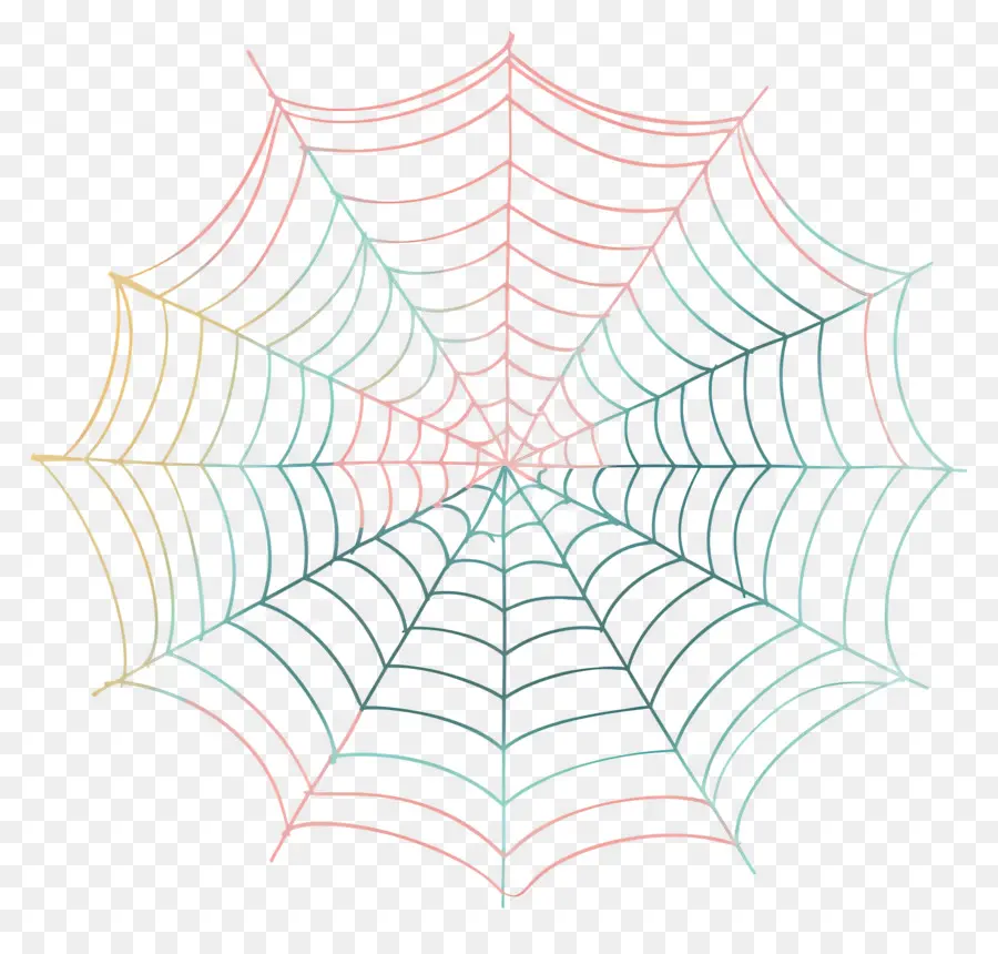 Tela De Araña，Las Arañas Web PNG