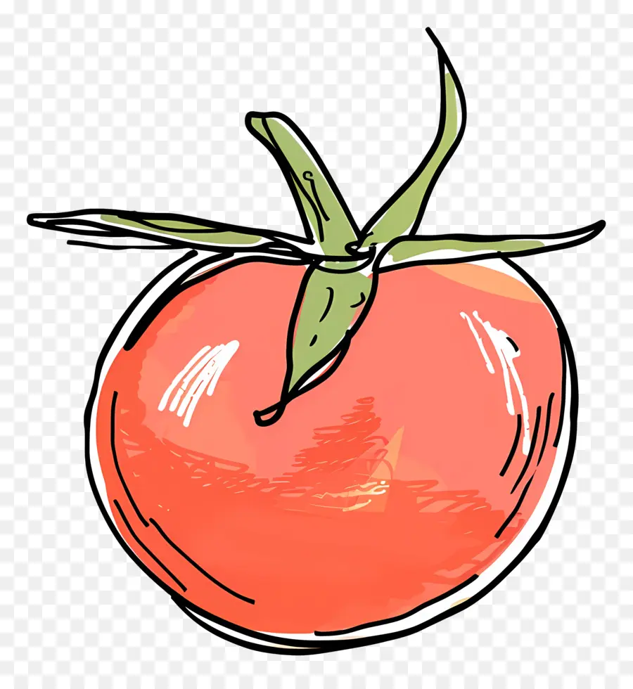 Tomate，Tomate En Blanco Y Negro PNG