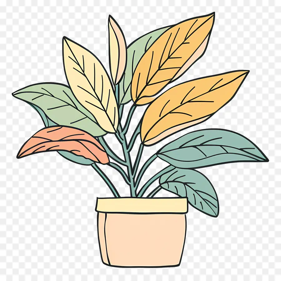 Planta，Planta De Interior PNG