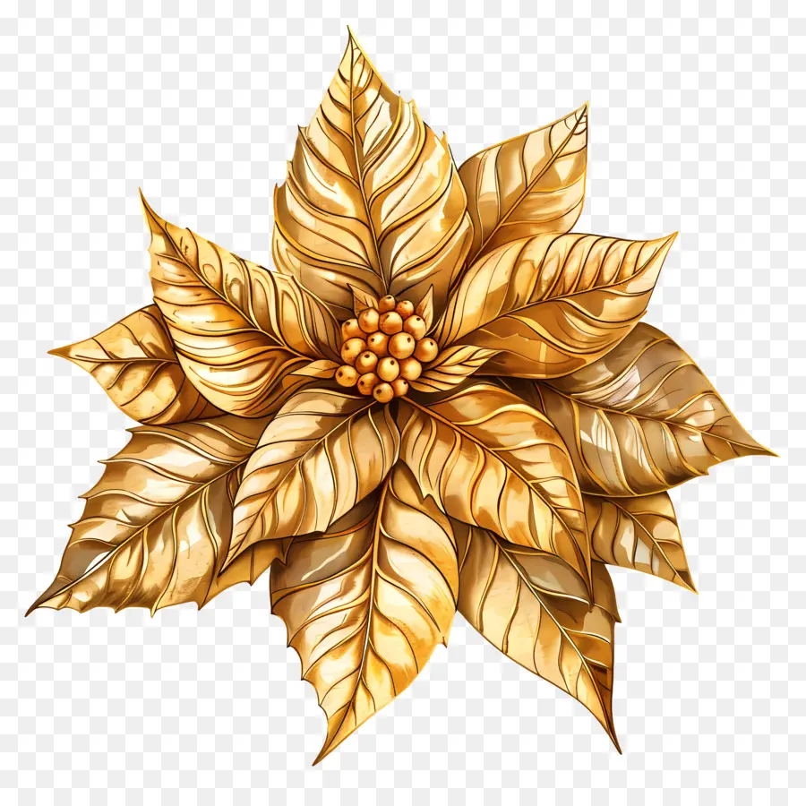 Flor De Pascua，Flor Dorada PNG