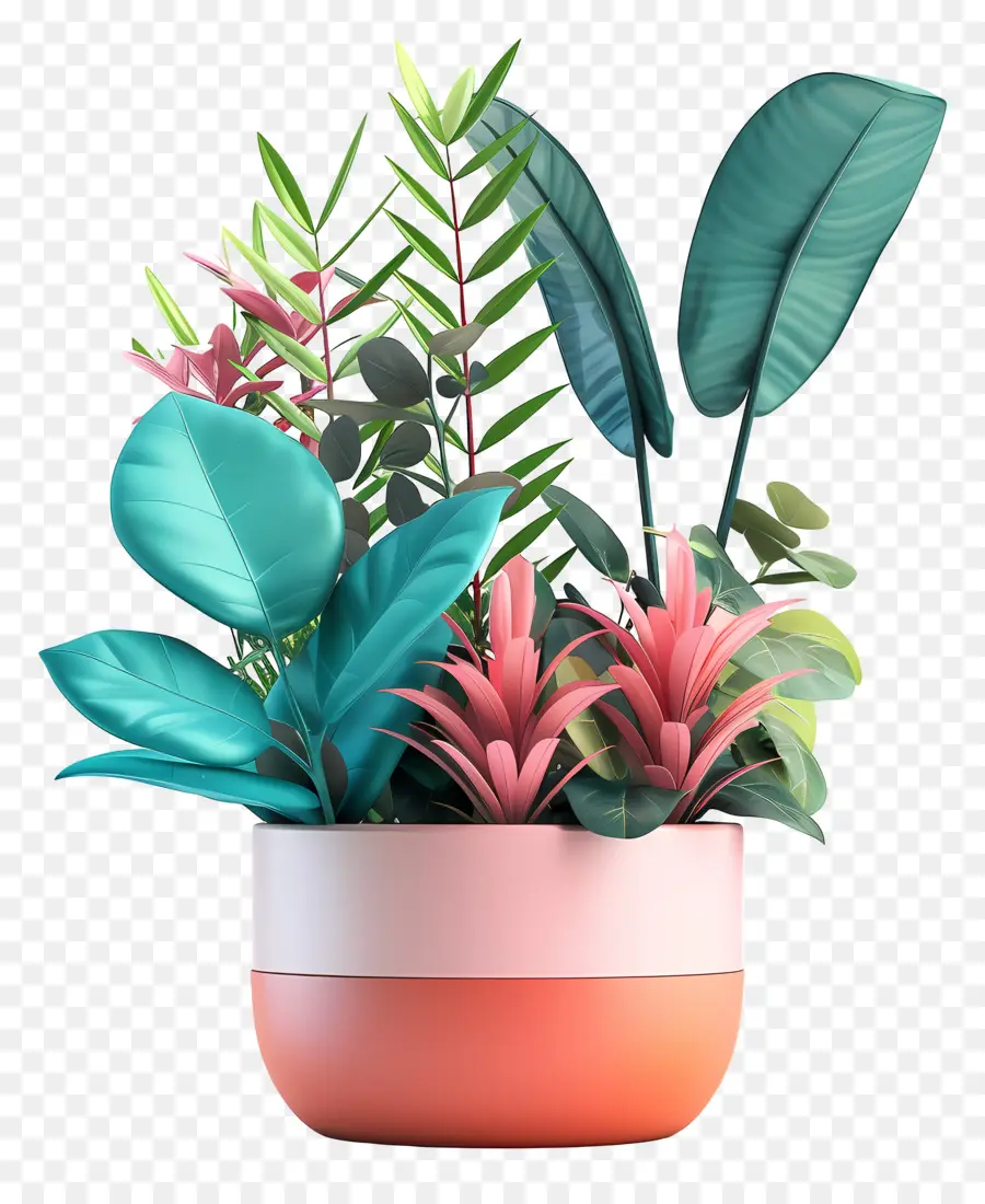 Plantas Estéticas，Plantas Tropicales PNG