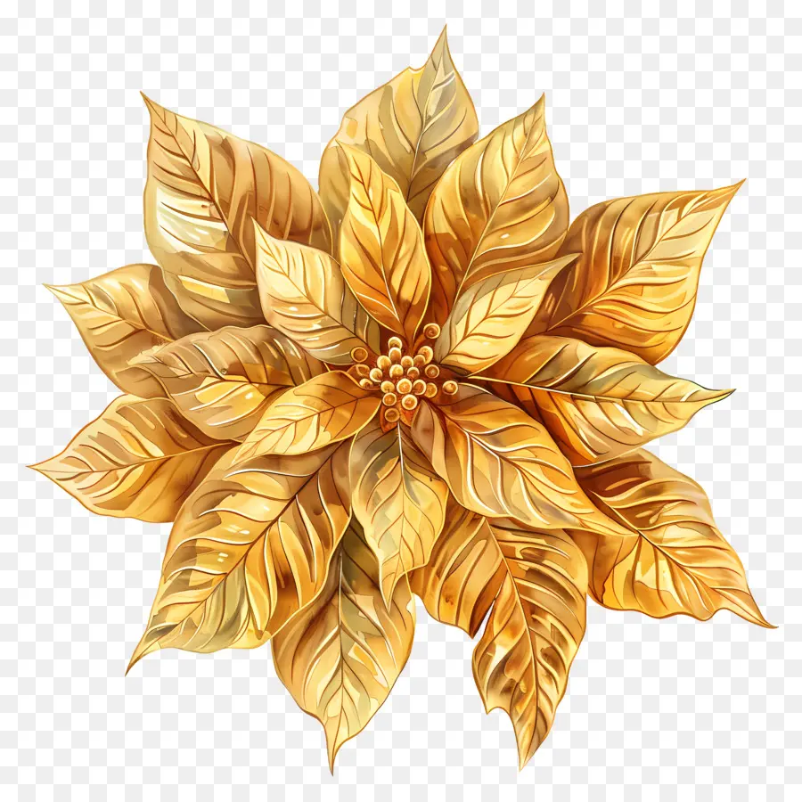 La Flor De Pascua，Oro PNG