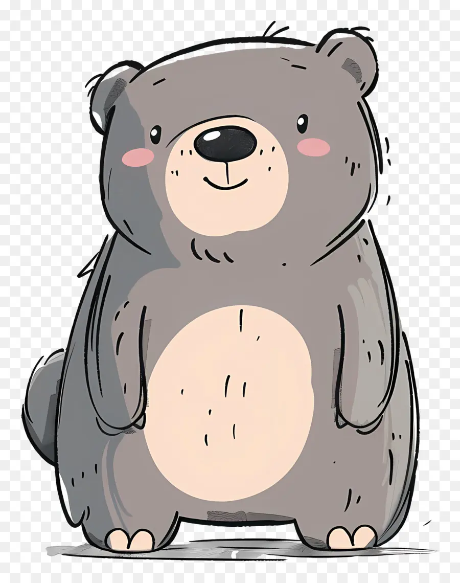Oso，Cartoon Bear PNG