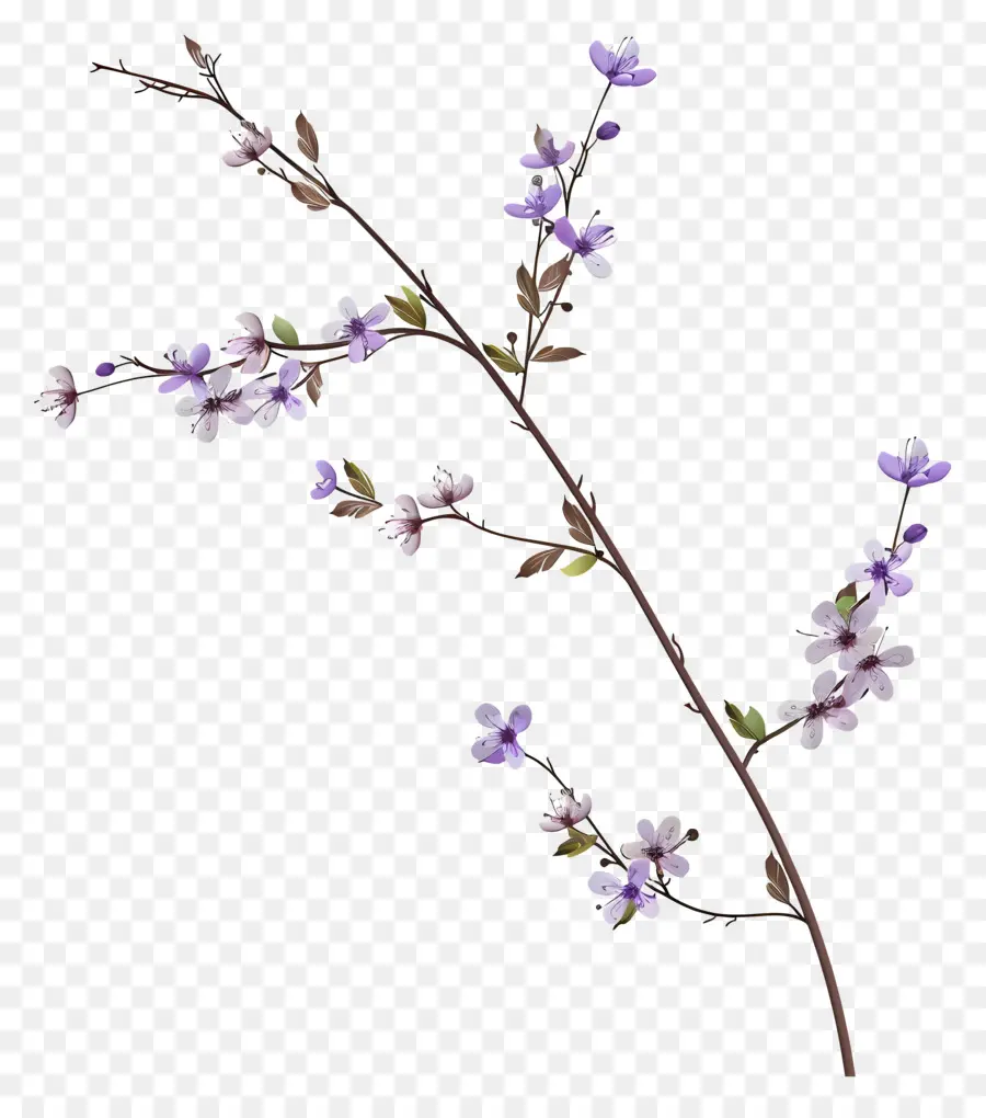 Pequeñas Flores Moradas，Flor Morada PNG