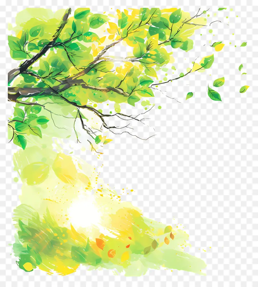 Fondo De La Luz Solar，árbol Verde PNG