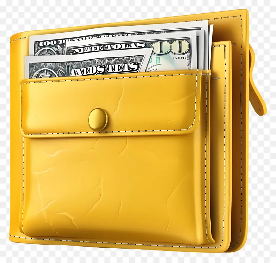 Billetera Con Dinero，Cartera PNG