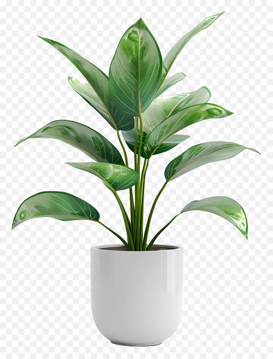 Pequeña Planta Interior，Vaso Blanco PNG