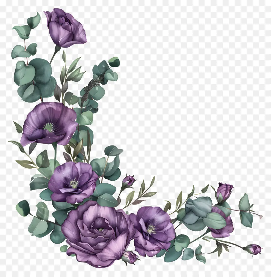 Flores De Eustoma，Flores De Color Púrpura PNG