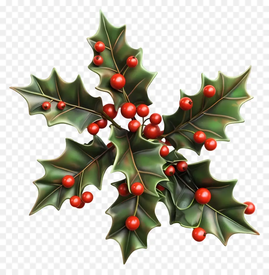 Holly De Navidad，Planta De Vacaciones PNG