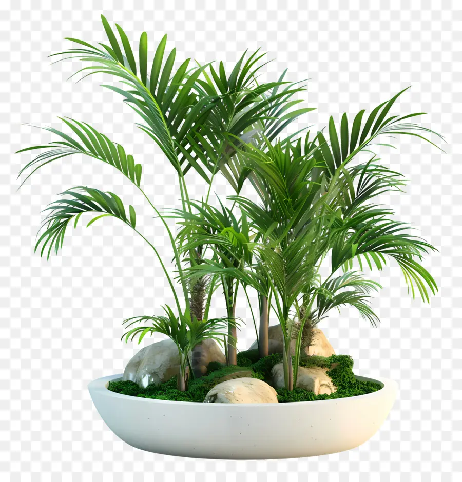 Plantas De Jardin，Plantas Verdes PNG