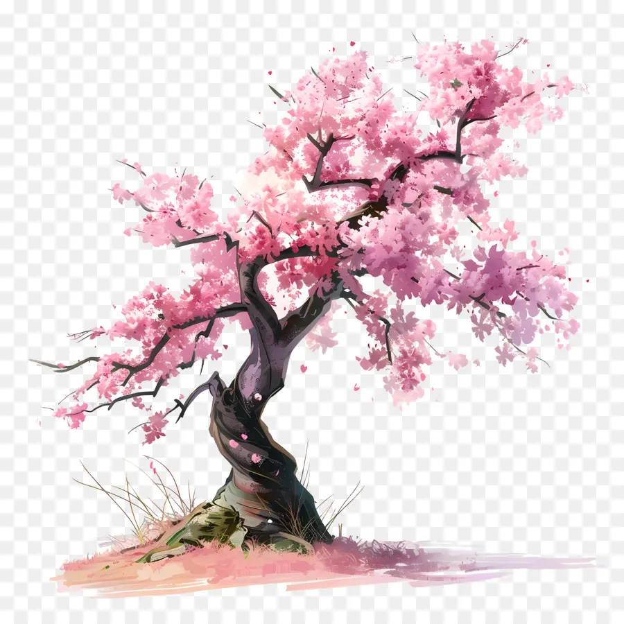 árbol De Sakura，Flores De Cerezo PNG