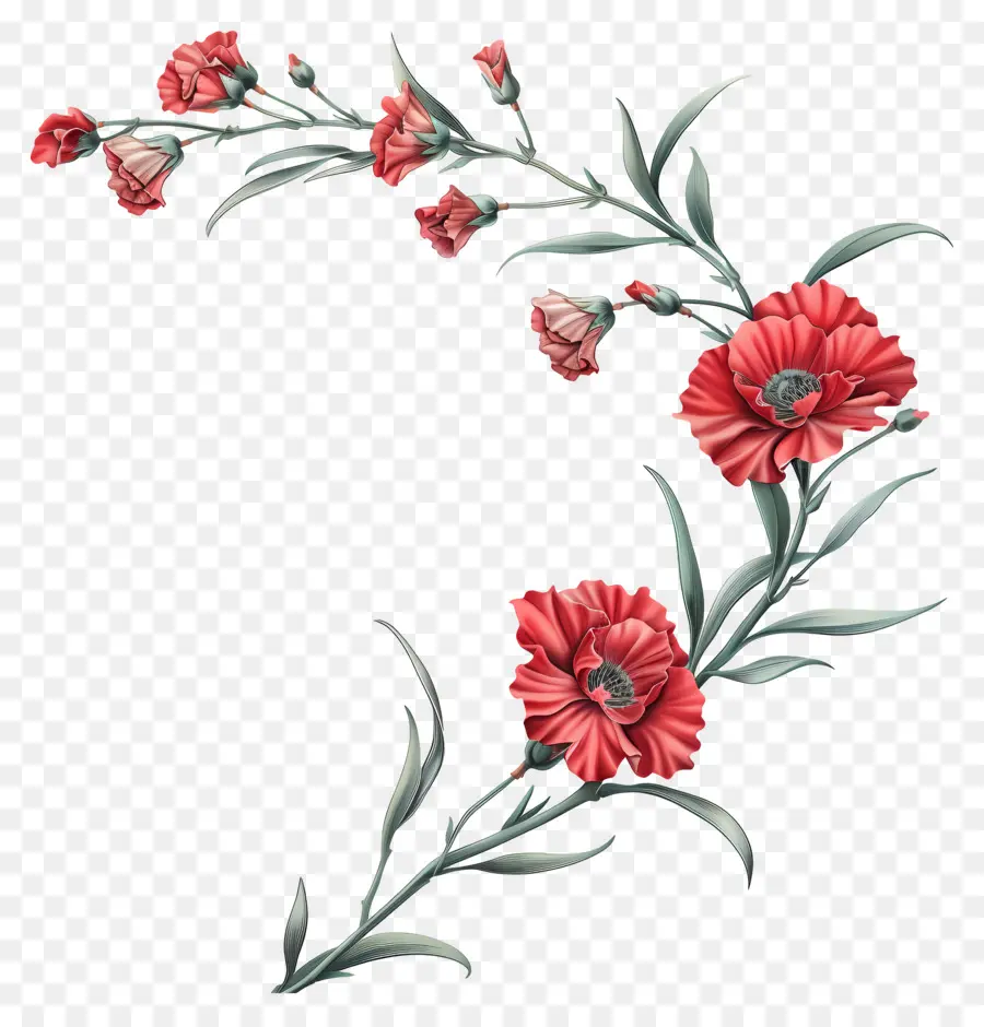 Los Claveles，Diseño Floral PNG