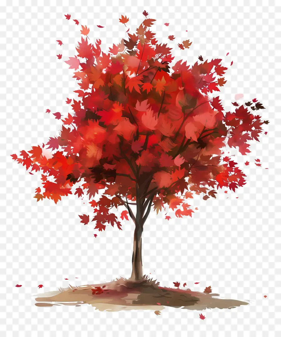 Arce，árbol Rojo PNG