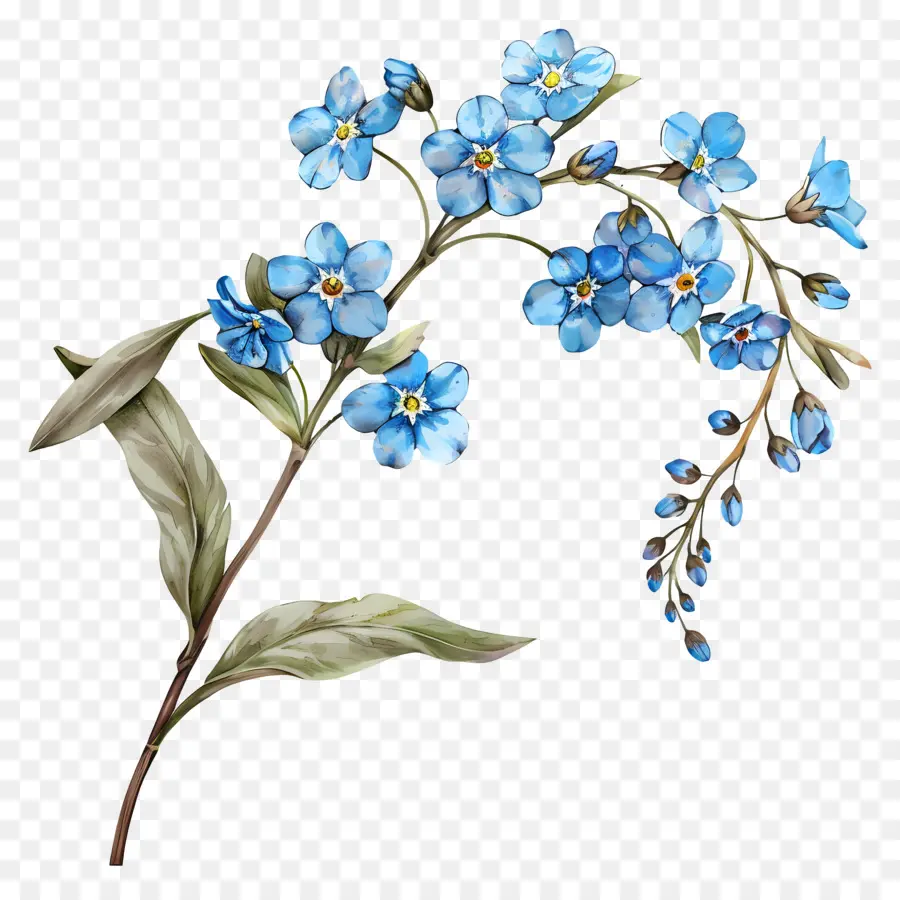 Me Olvide De Los Pobres，Pintura De Flores Azules PNG