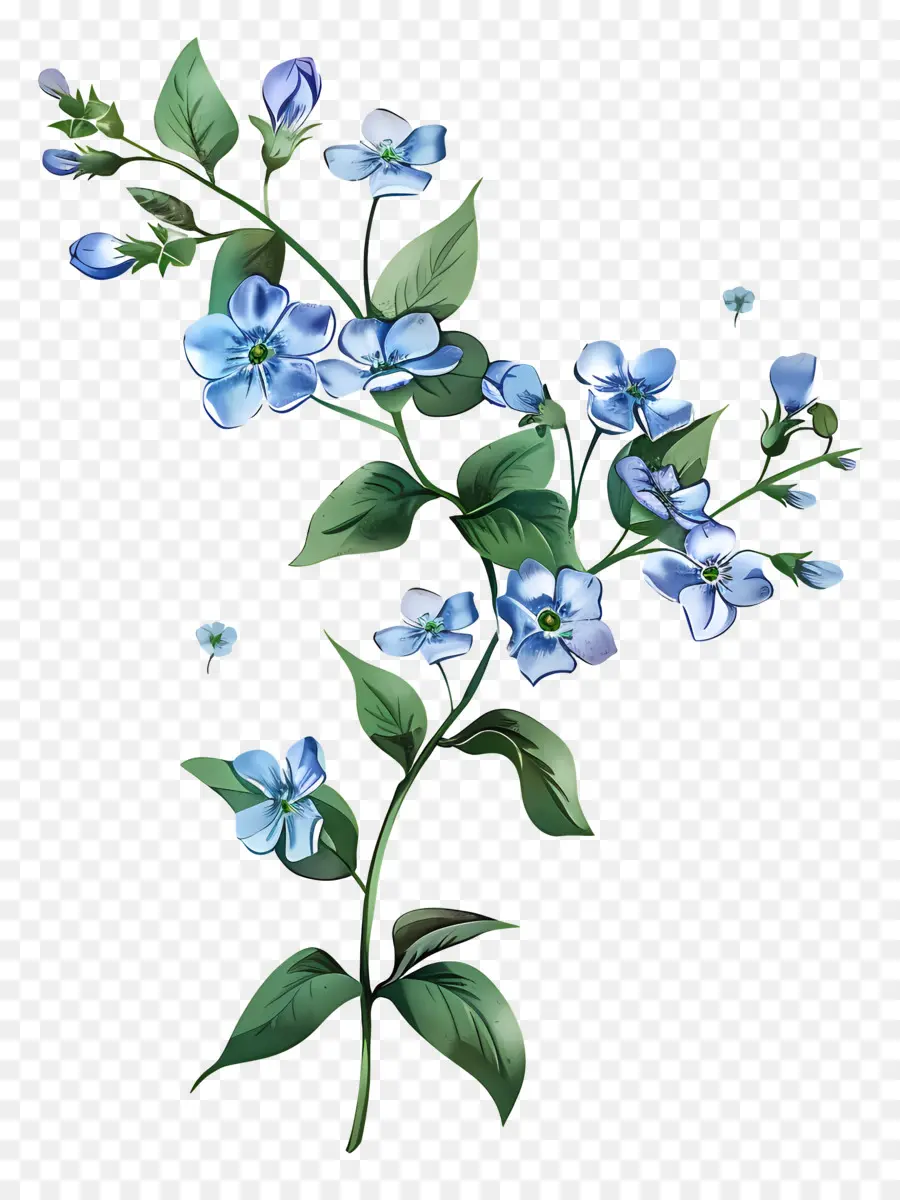 Me Olvide De Los Pobres，Flores De Color Azul PNG