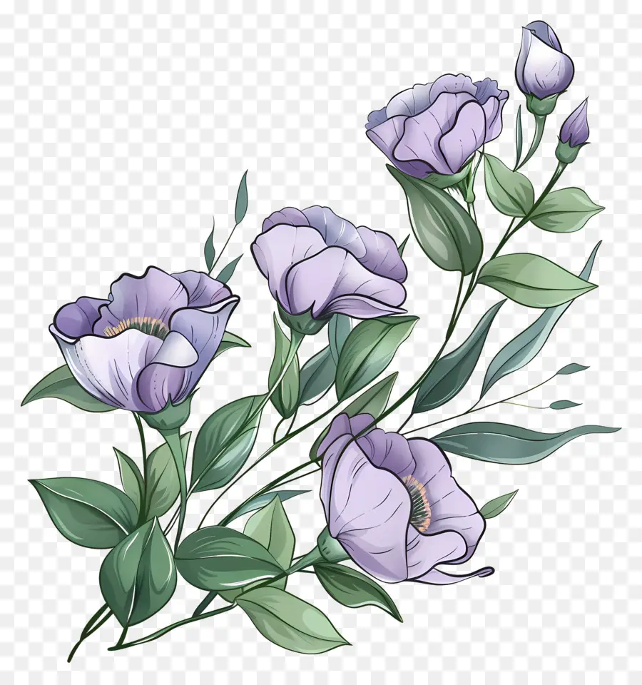 Flores De Eustoma，Flores Moradas PNG