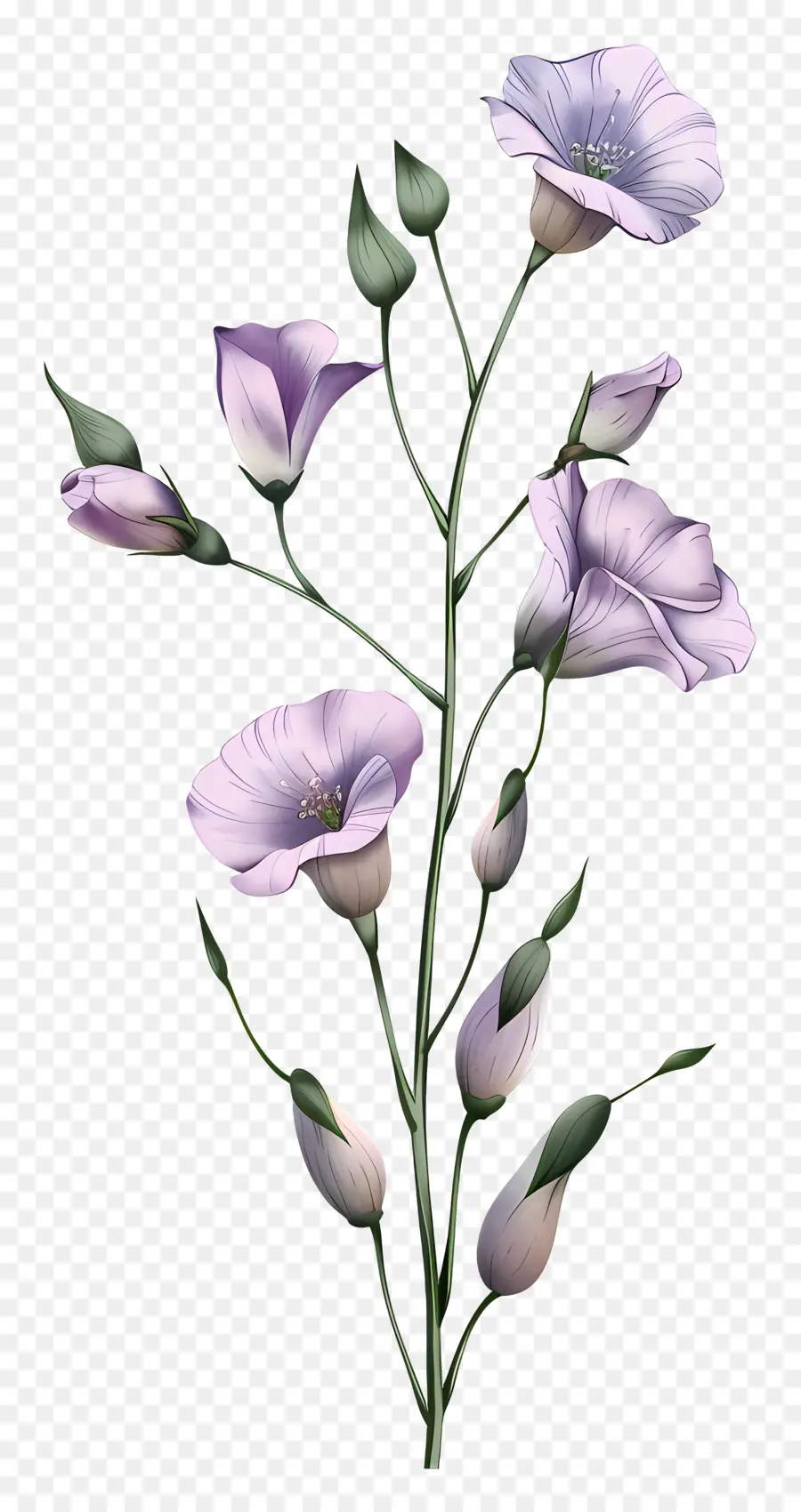 Flores De Eustoma，Flores Moradas PNG